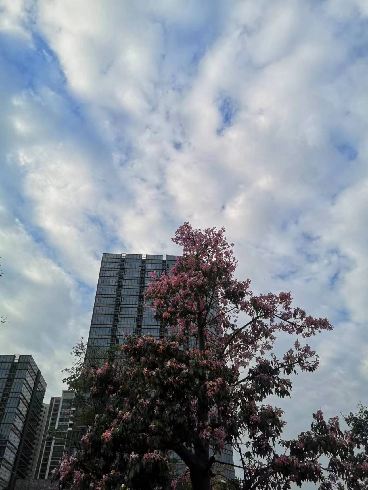 房地产投资逻辑生变
