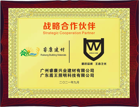 盾王照明