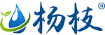 杨枝